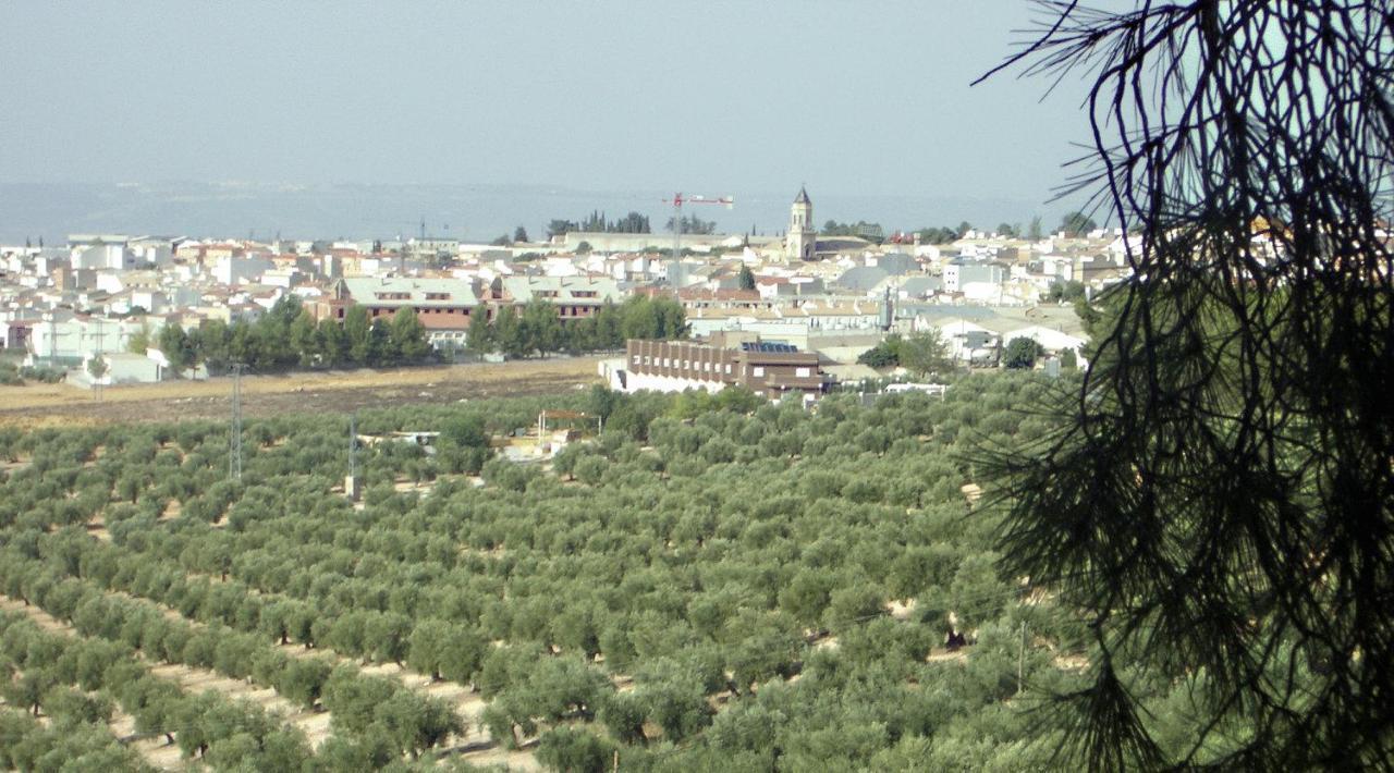 Hotel La Zambra Mancha Real Eksteriør bilde